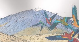 teide mountain and parrots