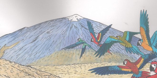 teide mountain and parrots