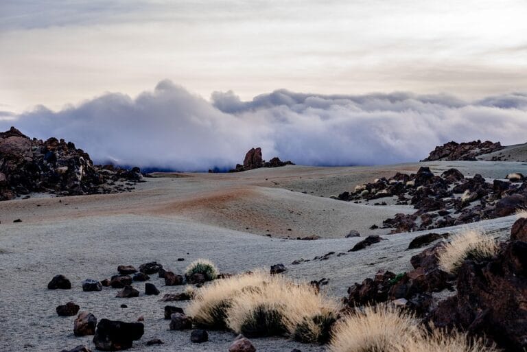 Tenerife: Your Gateway to Canary Island Adventures