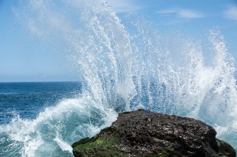 The Best Spots for Whale Watching in Tenerife